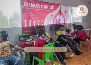 Aksi donor darah yang diikuti karyawan Pani Gold Project. (aset : humas PGP)