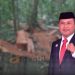 Anggota DPRD Kabupaten Pohuwato, Wawan Hatama.