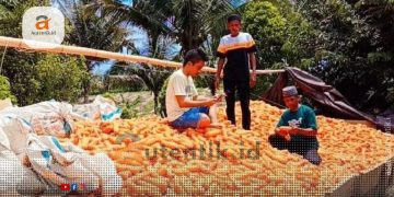 Politisi muda PKB, Bahrudin Ismail saat bersama petani Desa Milangodaa, Kecamatan Popayato Timur.