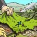 Ilustrasi (aset : istimewa).