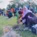 Kolaborasi program penghijauan Pani Gold Project - Mahasiswa UNG.