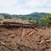 Aktivitas land clearing di konsesi PT. BTL. Kayu hutan alam dimanfaatkan menjadi wood pellet