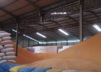 Ilustrasi gudang jagung. foto : istimewa