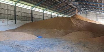 Gambar gudang jagung salah satu perusahaan di Kabupaten Pohuwato. (Aset : Wahyu/Hp).