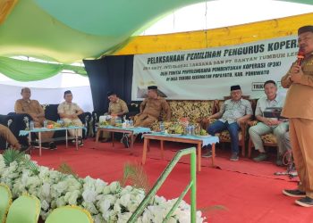 Kepala Dinas Perindagkop UMKM Pohuwato saat memberikan sambutan dalam pemilihan pengurus koperasi.