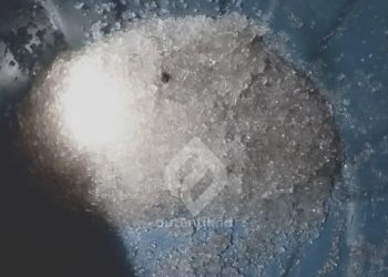 Fenomena hujan Jelly yang terjadi di Desa Leayo, Kecamatan Tomilito, Gorontalo Utara, Sabtu (15/2/2025).