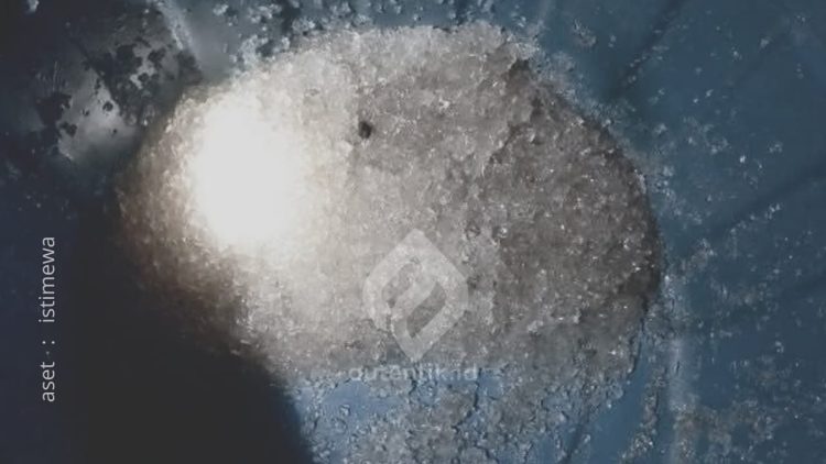 Fenomena hujan Jelly yang terjadi di Desa Leayo, Kecamatan Tomilito, Gorontalo Utara, Sabtu (15/2/2025).